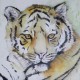 Le tableau Tigre de Bengale