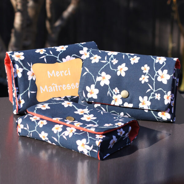 SPECIAL MAITRESSE ! La pochette semi rigide